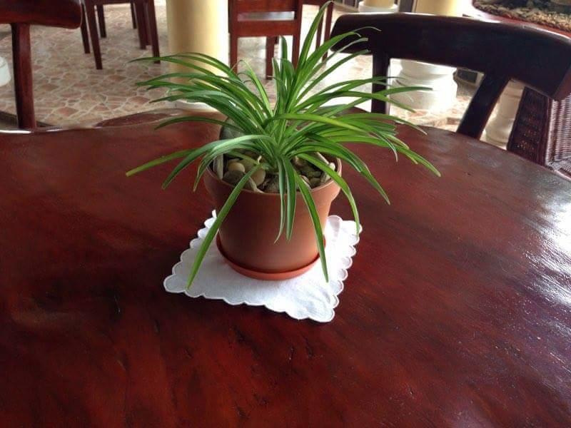 Liberty Park Pension Puerto Princesa Εξωτερικό φωτογραφία